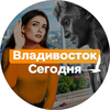 Размещение интеграции в Telegram. Логотип Телеграм канала @vladivostok_gorod