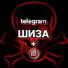 Размещение интеграции в Telegram. Логотип Телеграм канала @funny_vidose