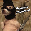 Размещение интеграции в Telegram. Логотип Телеграм канала @chertilavideogames