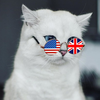 Размещение интеграции в Telegram. Логотип Телеграм канала 🇬🇧🇺🇸Kittyeng | Английский язык🇬🇧🇺🇸