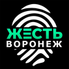 Размещение интеграции в Telegram. Логотип Телеграм канала @zhest_voronezh_136